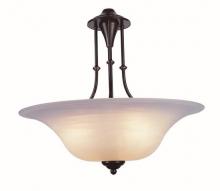 Trans Globe 6543 WB - 3LT PENDANT